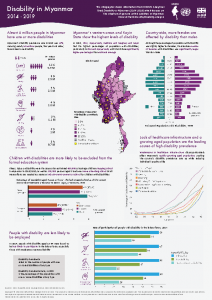 Infographic Analytical Brief Disability MIMU 18 Aug 2021 English