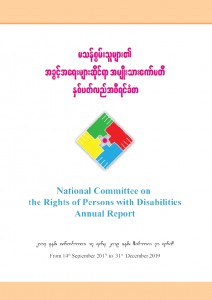 Disability Committee Annual Report