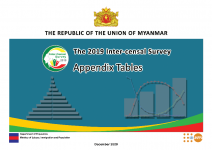 Inter Censal Survery Appendix Tables English