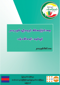 Overview and rerults of the 2014 census Myanmar