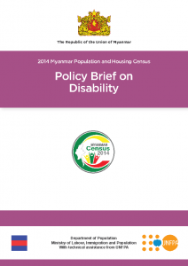 policy brief and infographics_Disbility