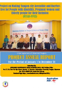 Final MILI annual report of MYAB-PPEI project